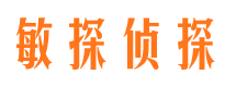 梅里斯市婚外情取证